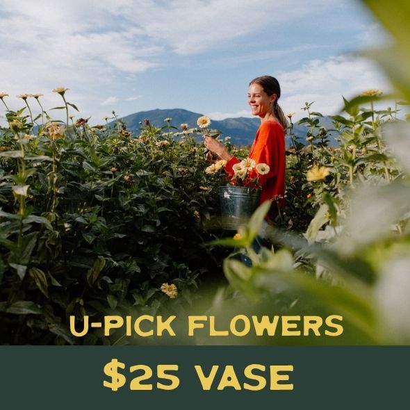 U-Pick Glass Vase