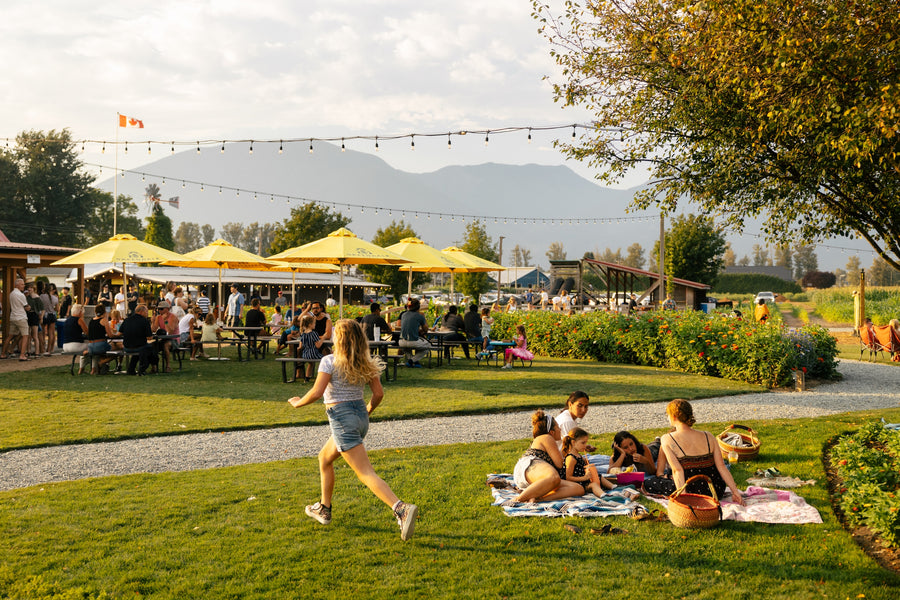 People enjoying a picnic in a park with mountains in the background