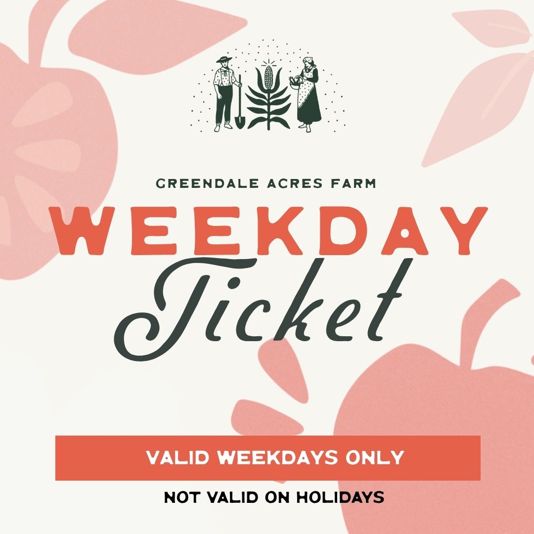 Weekday Ticket 2026