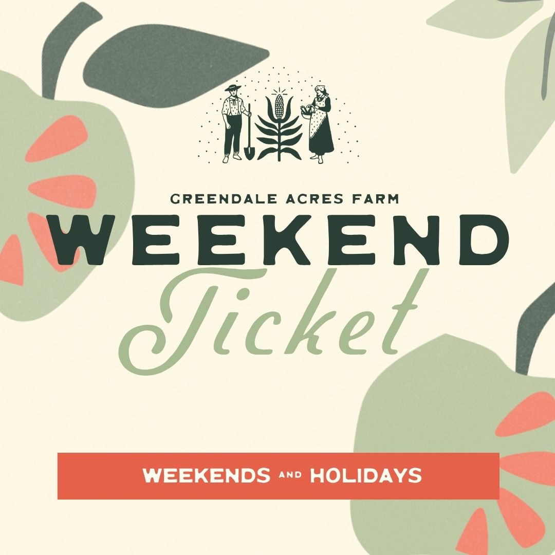 Weekend Ticket 2026