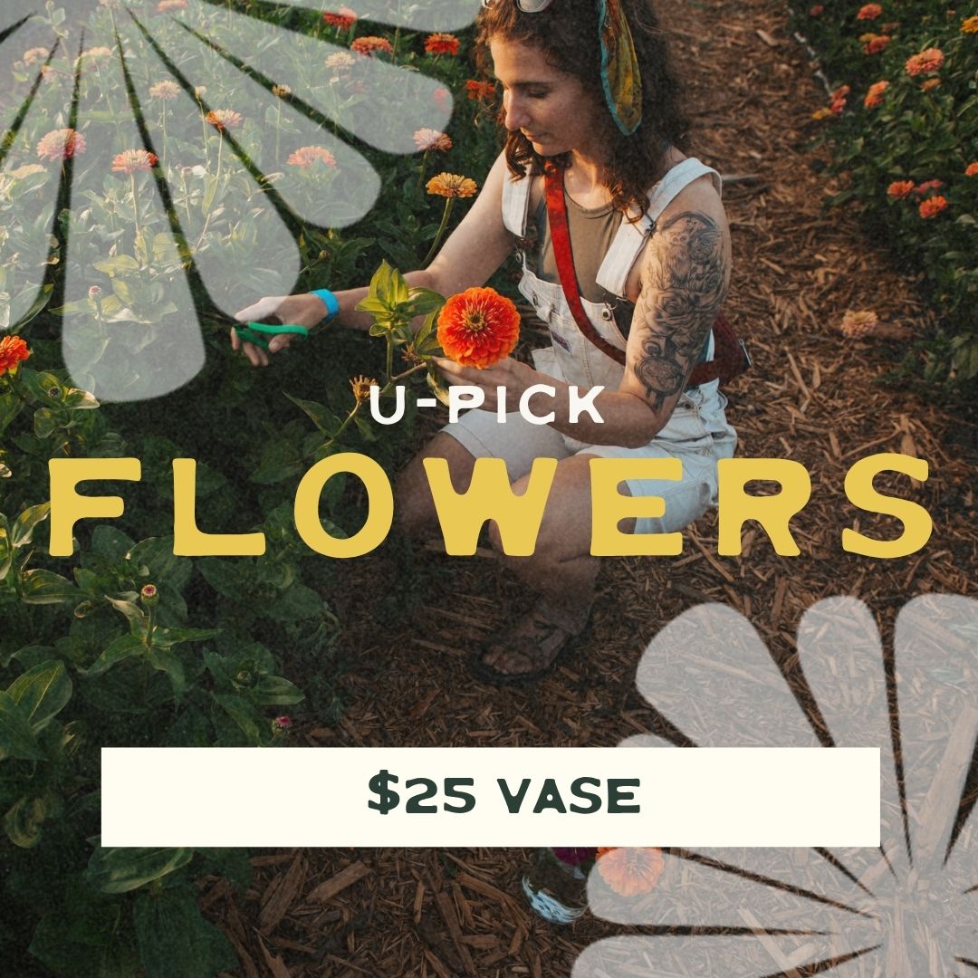 U-pick Flowers - $25 Glass Vase