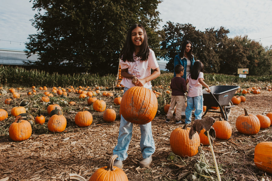 Children at a pumpkin patch with pumpkins and a wheelbarrow.